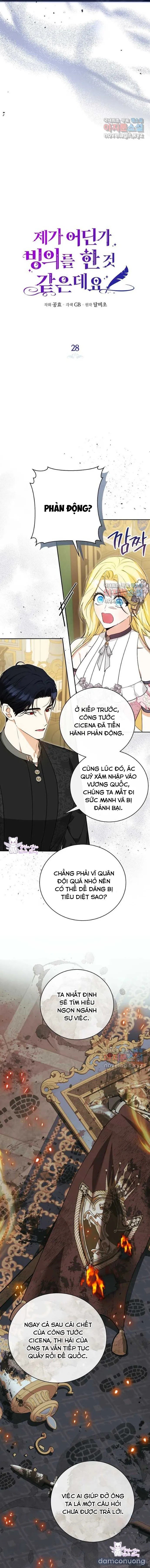 Hình Như Tôi Đã Xuyên Vào Cuốn Tiểu Thuyết Nào Đó 