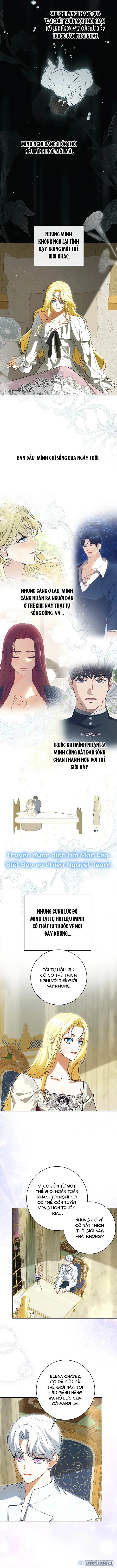 Hình Như Tôi Đã Xuyên Vào Cuốn Tiểu Thuyết Nào Đó 