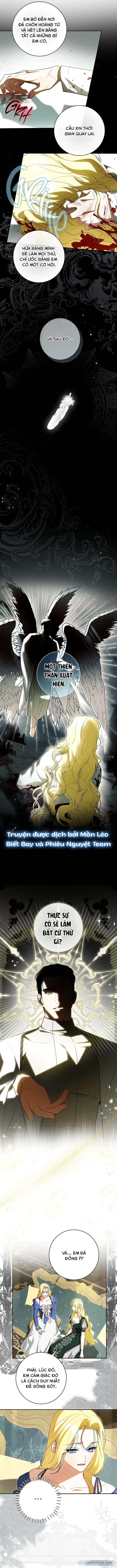 Hình Như Tôi Đã Xuyên Vào Cuốn Tiểu Thuyết Nào Đó 