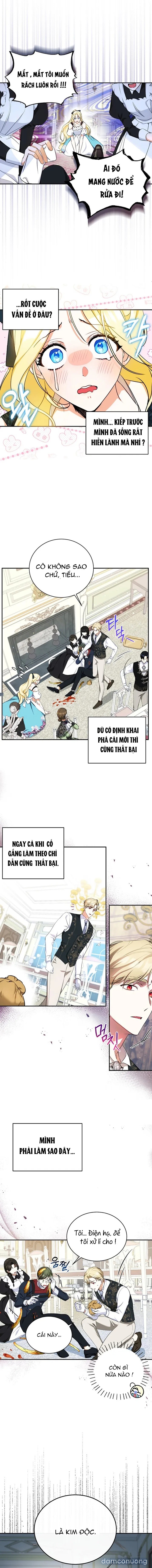 Hình Như Tôi Đã Xuyên Vào Cuốn Tiểu Thuyết Nào Đó 
