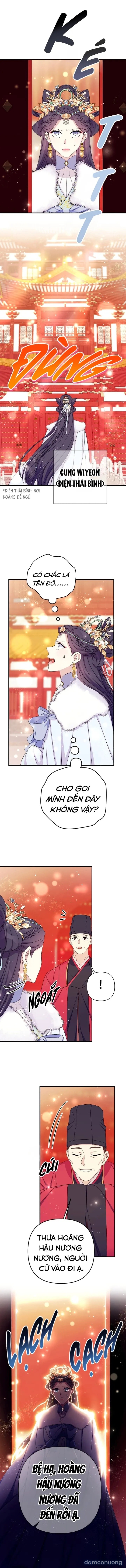 Sinh Viên Đại Học Hoàng Hậu 