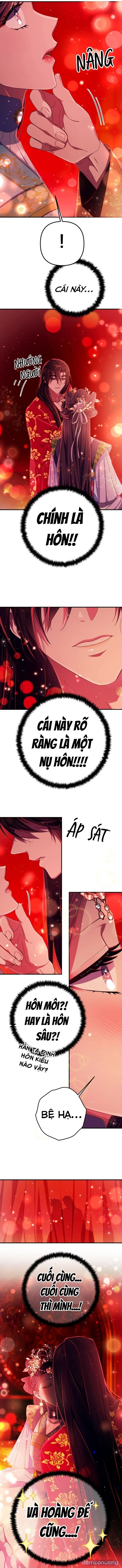 Sinh Viên Đại Học Hoàng Hậu 