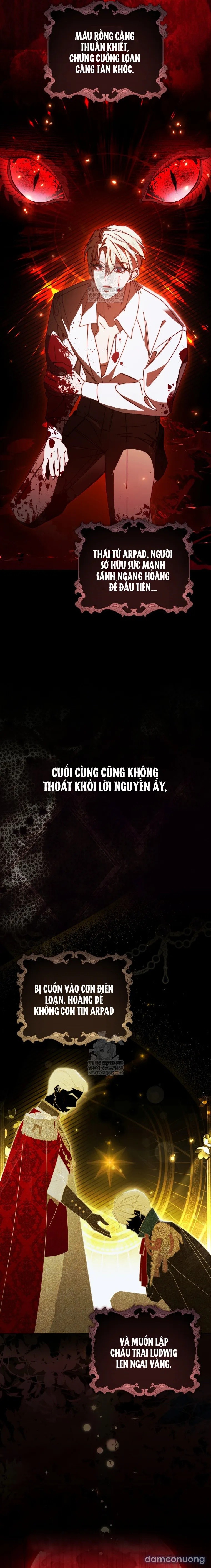 Tôi Sẽ Đổi Chồng Trước Bằng Hôn Nhân Cướp Đoạt 