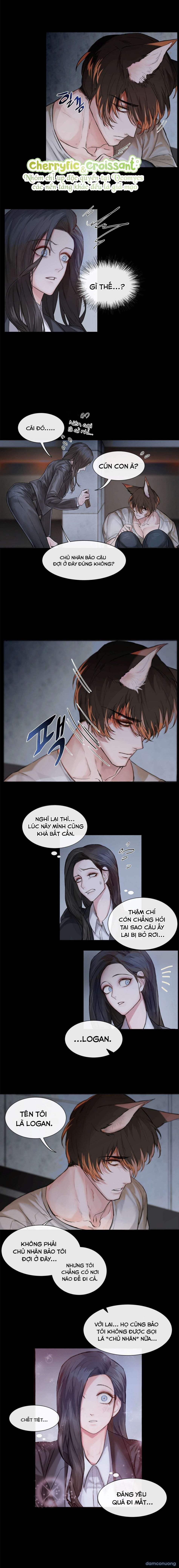『18+』Cún Con Của Chủ Nhân 