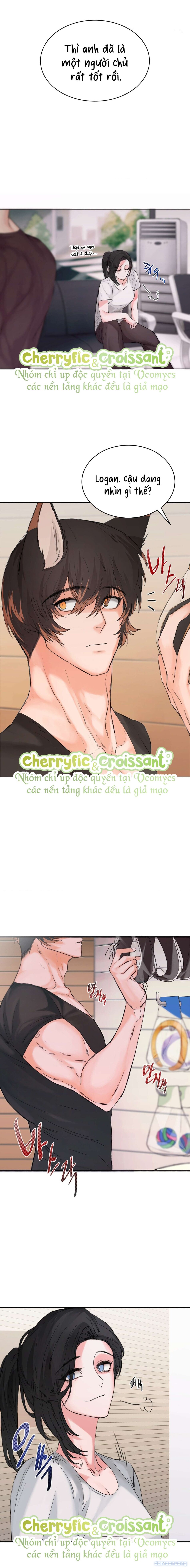 『18+』Cún Con Của Chủ Nhân 