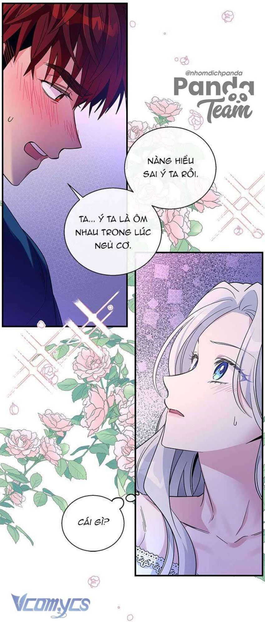 Chồng Yêu, Tôi Đây Bãi Công! 