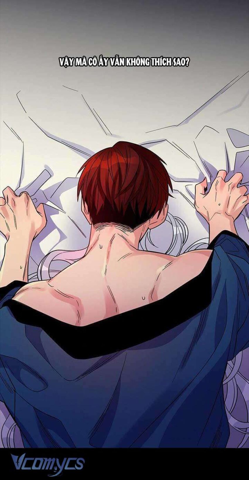 Chồng Yêu, Tôi Đây Bãi Công! 