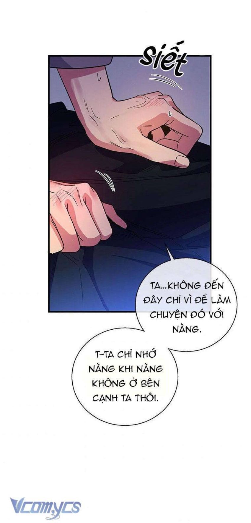 Chồng Yêu, Tôi Đây Bãi Công! 
