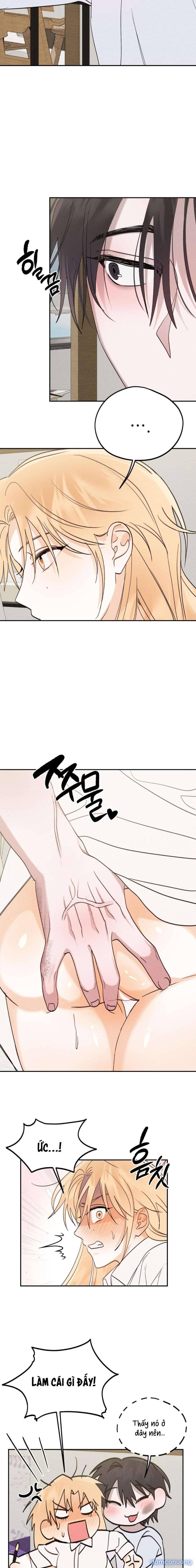 [ 18+ ] Người Đàn Ông Được Quỷ Theo Đuổi 