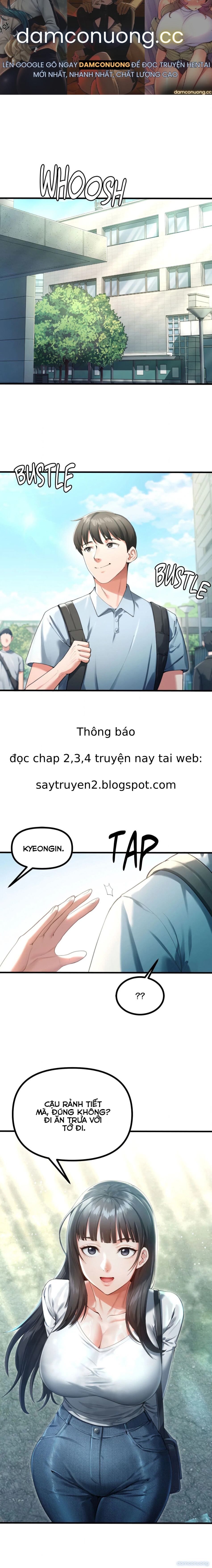 Bộ sưu tập Cắm Sừng 