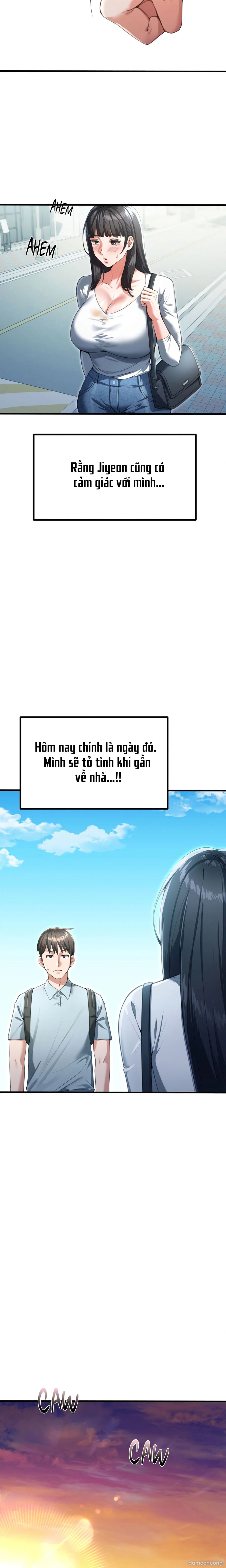 Bộ sưu tập Cắm Sừng 