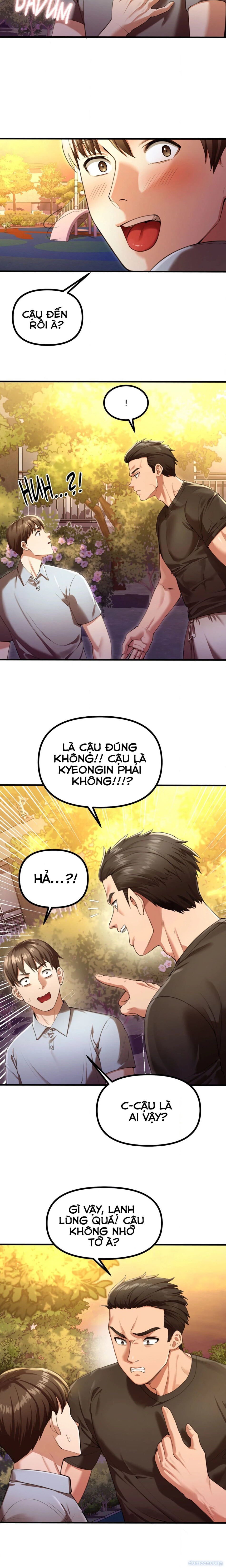 Bộ sưu tập Cắm Sừng 