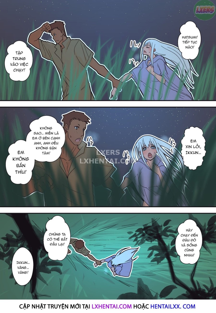 Hummingbird Paradise - Final Volume 