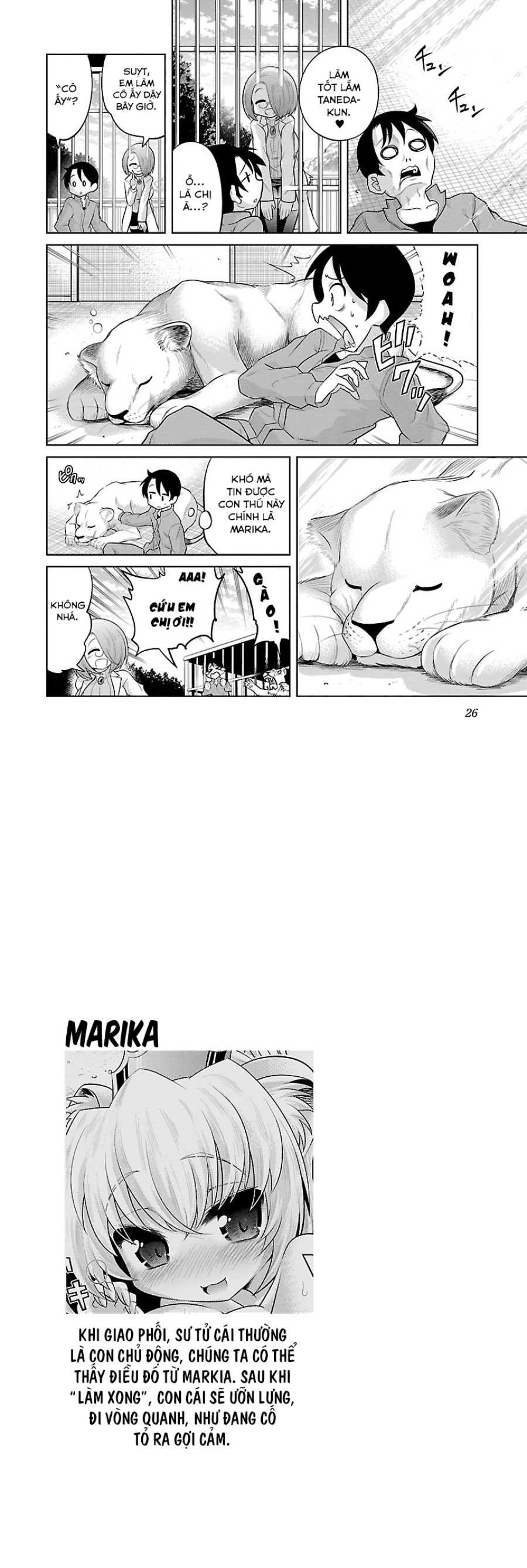 Hentai Zoo 