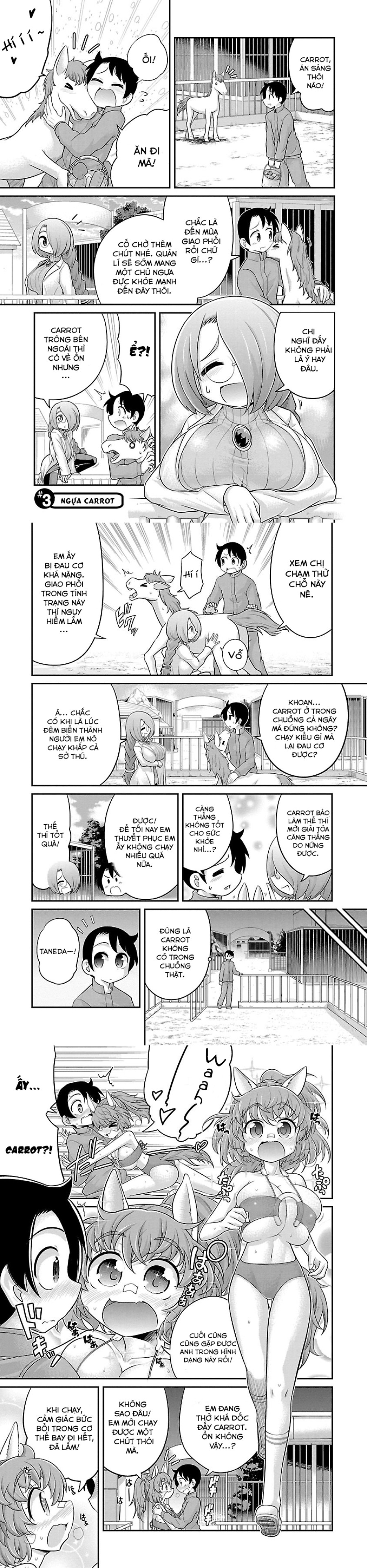 Hentai Zoo 