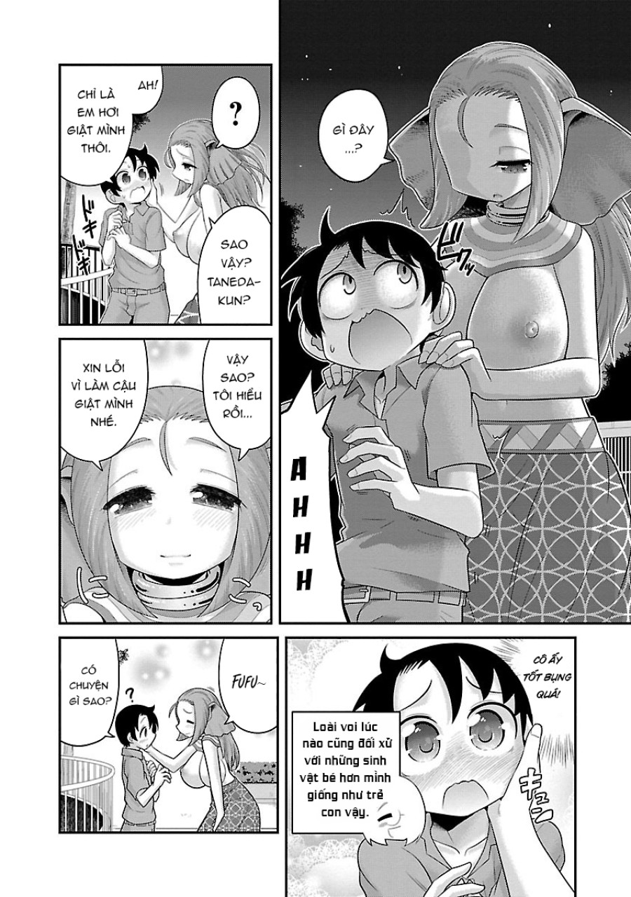 Hentai Zoo 