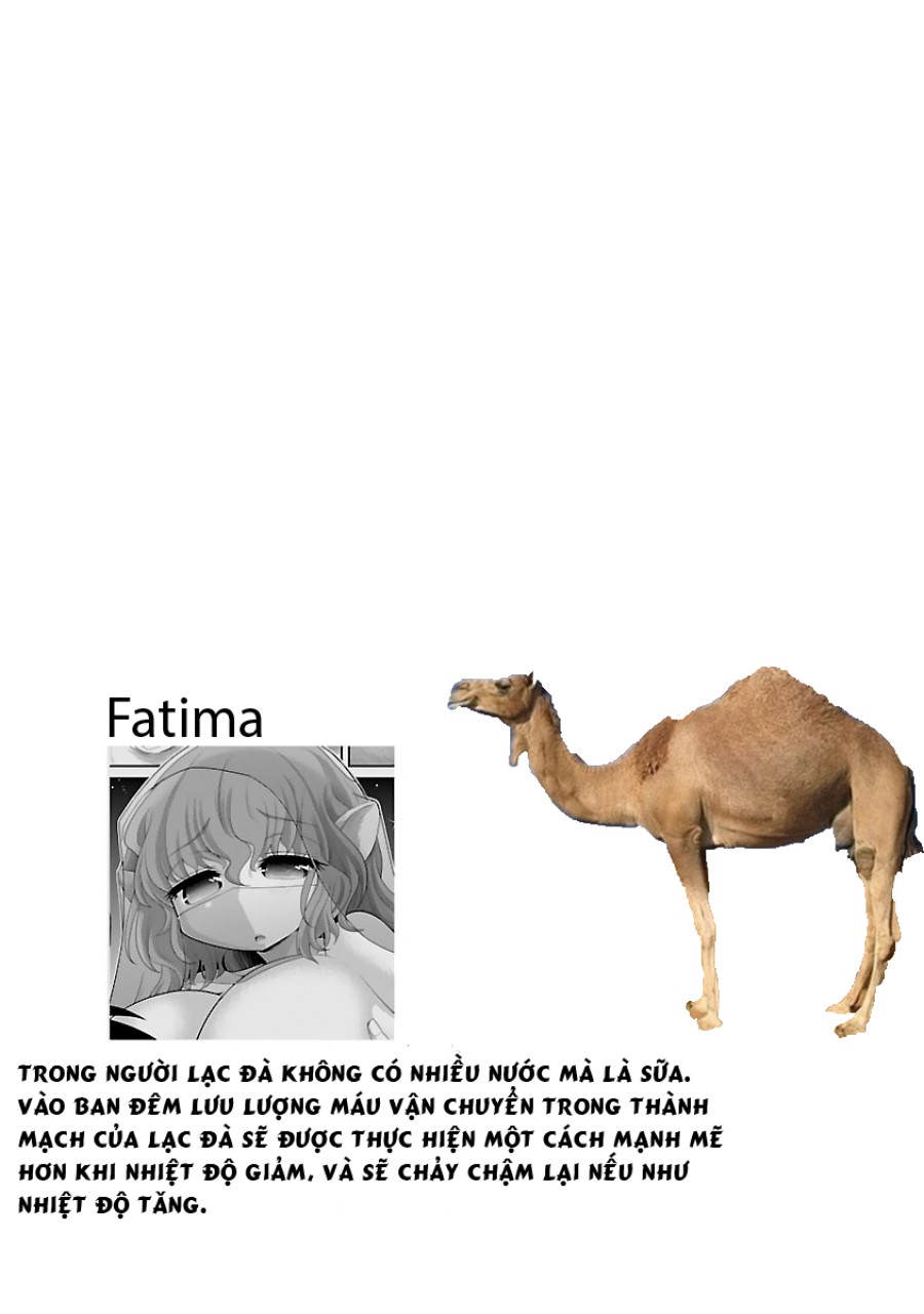Hentai Zoo 