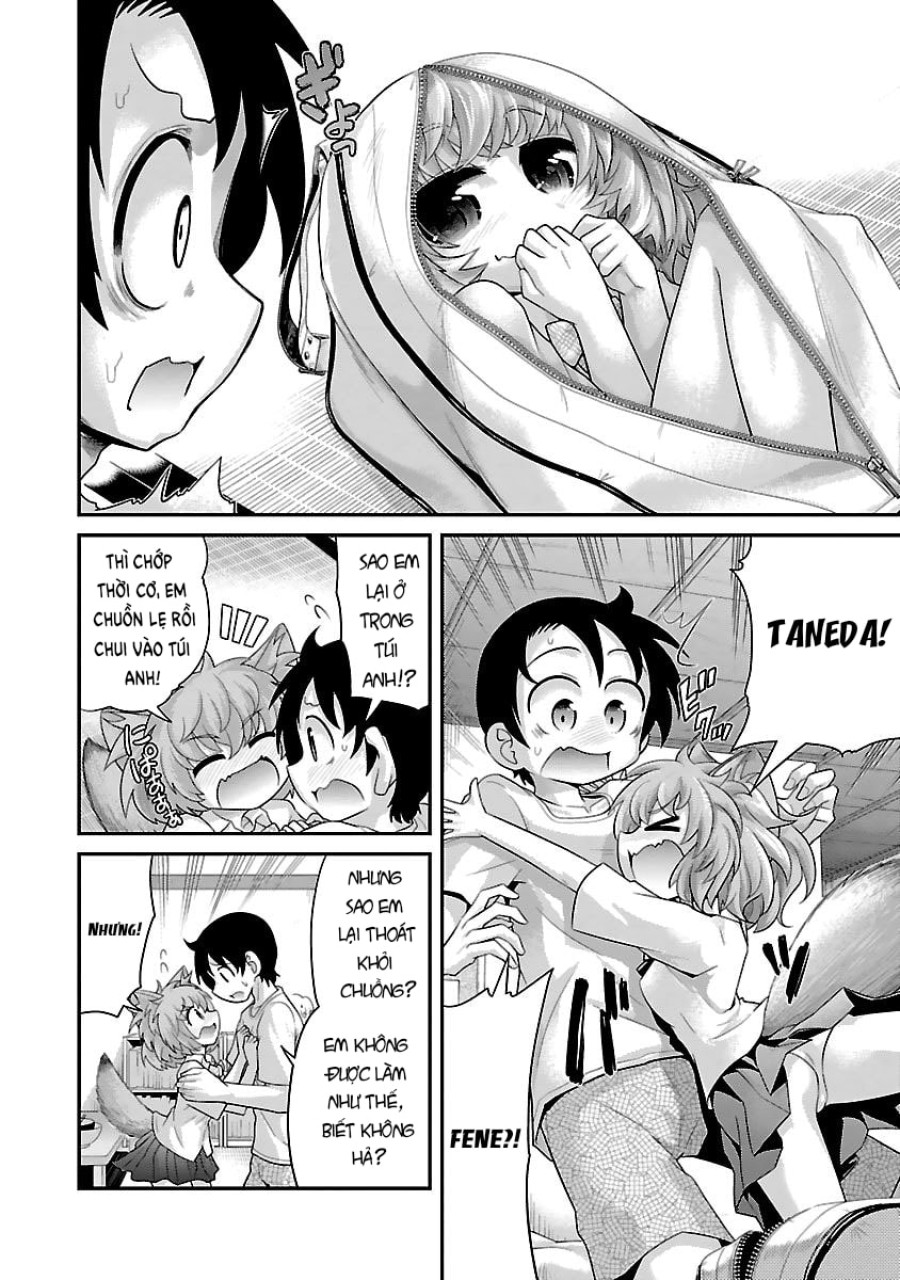 Hentai Zoo 