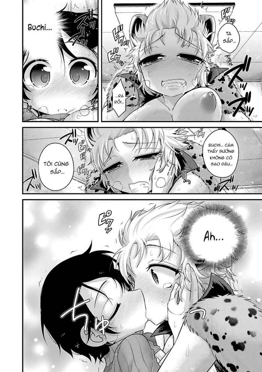 Hentai Zoo 