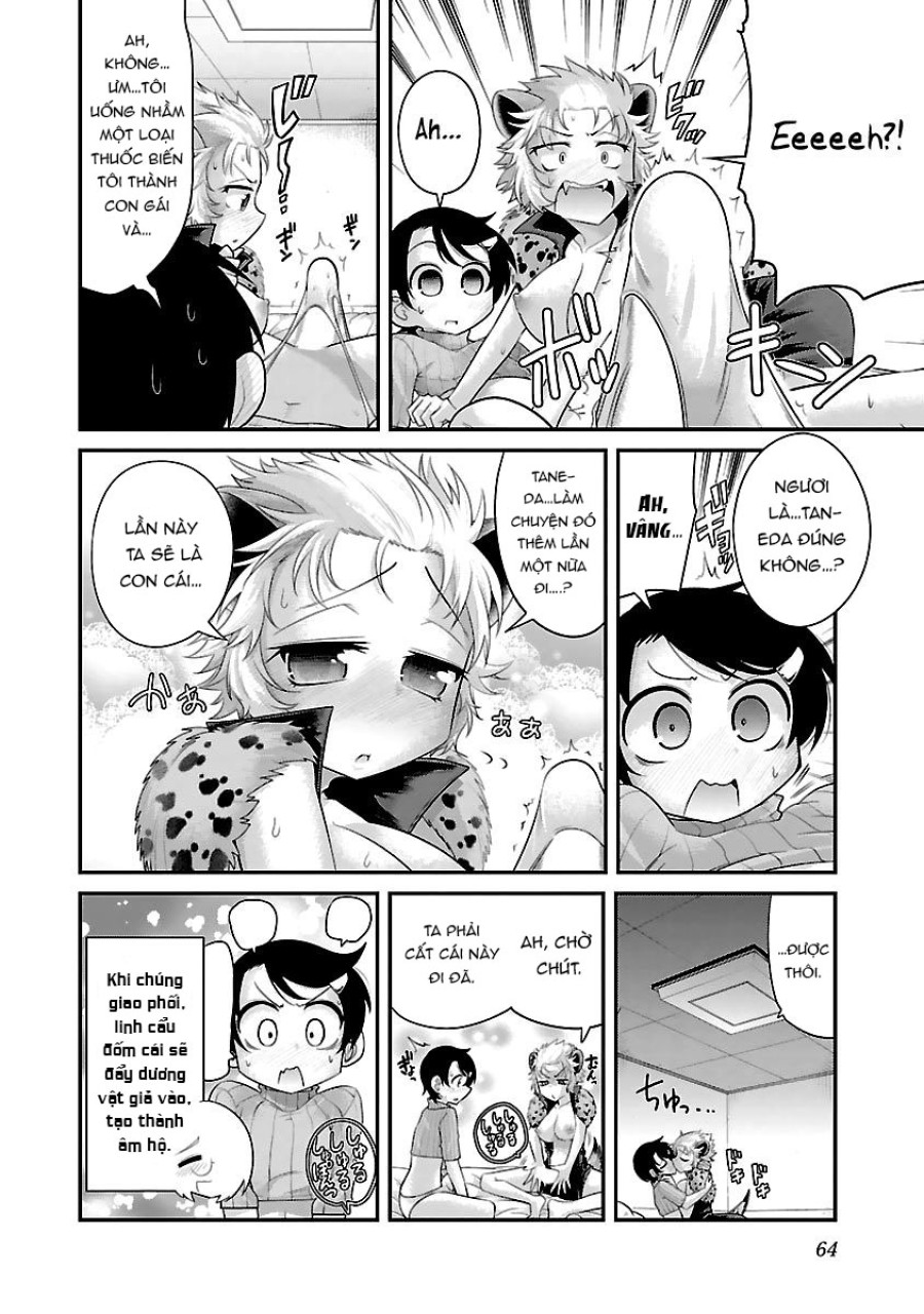 Hentai Zoo 