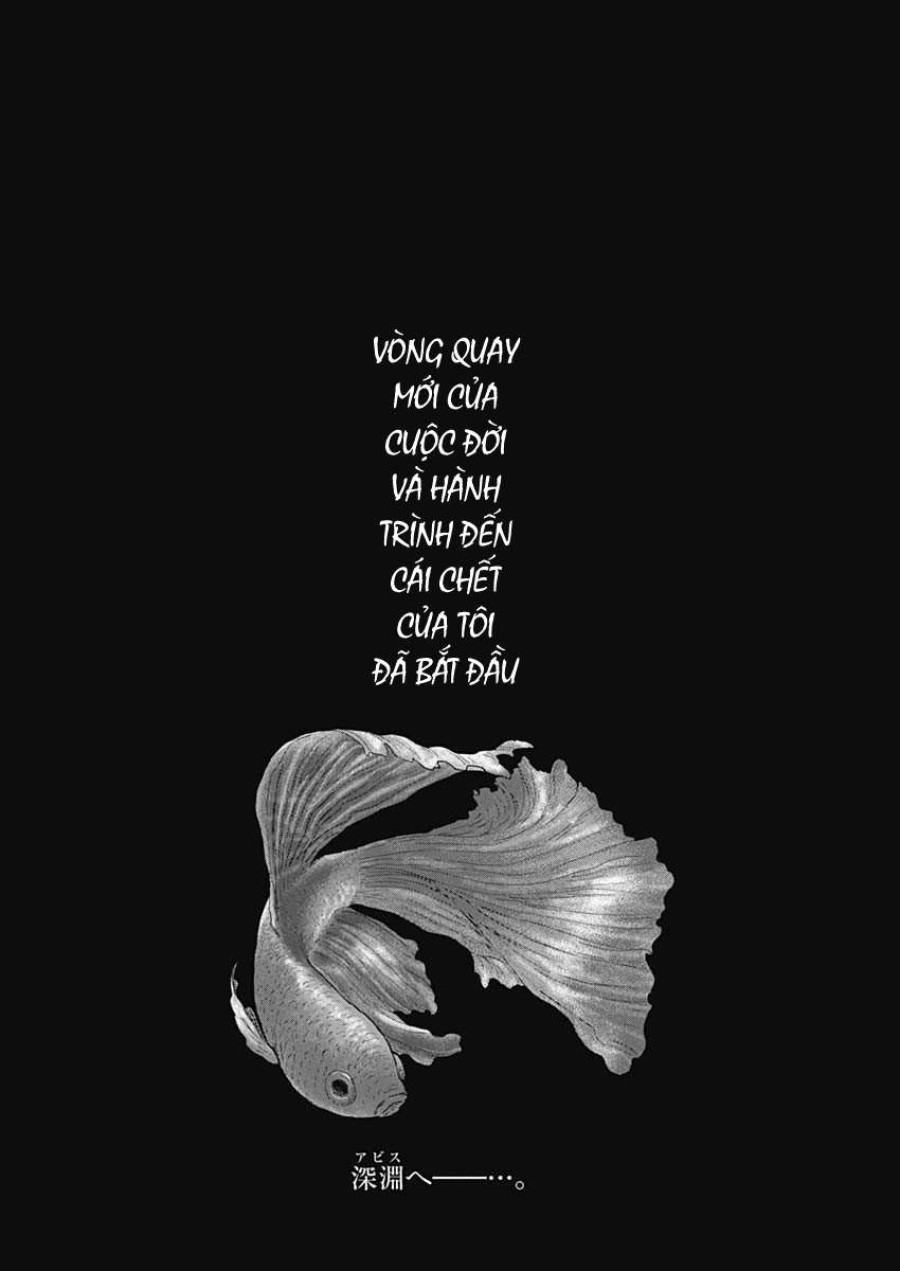Shounen no Abyss 