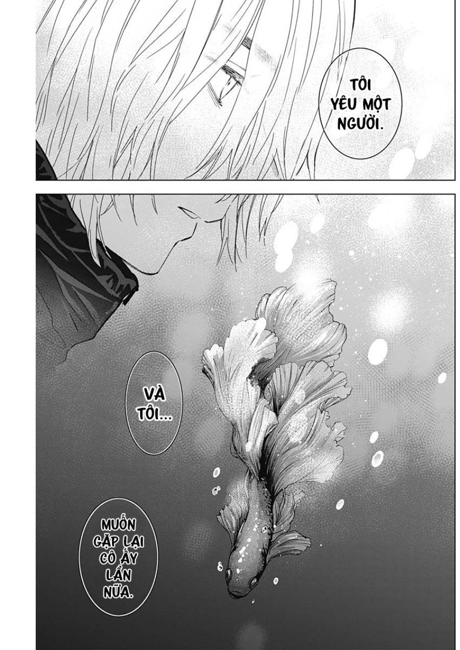 Shounen no Abyss 