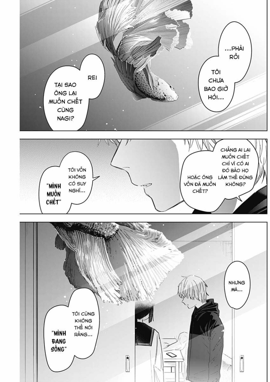 Shounen no Abyss 