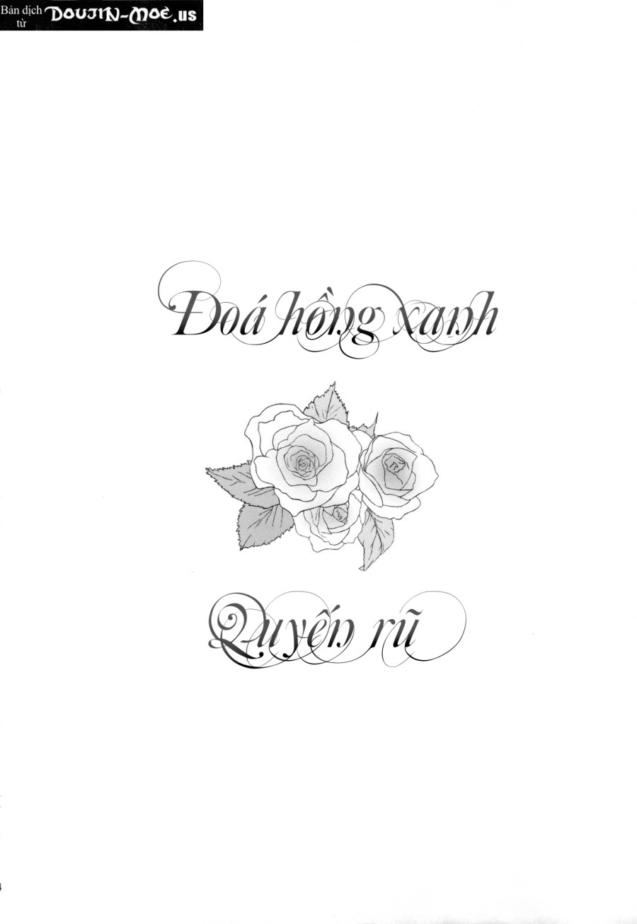Đoá Hồng Xanh Quyến Rũ 