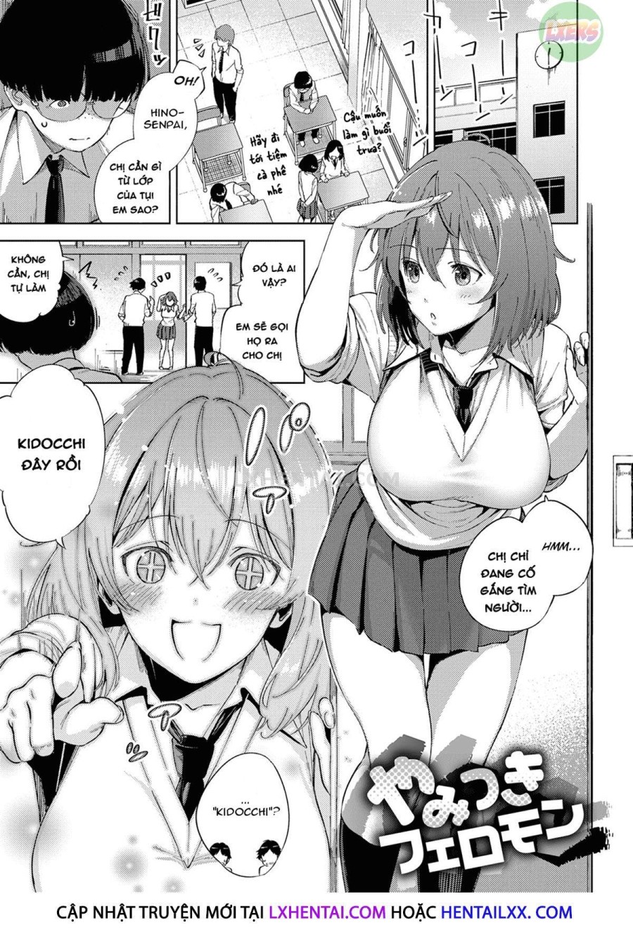 Yamitsuki Pheromone 