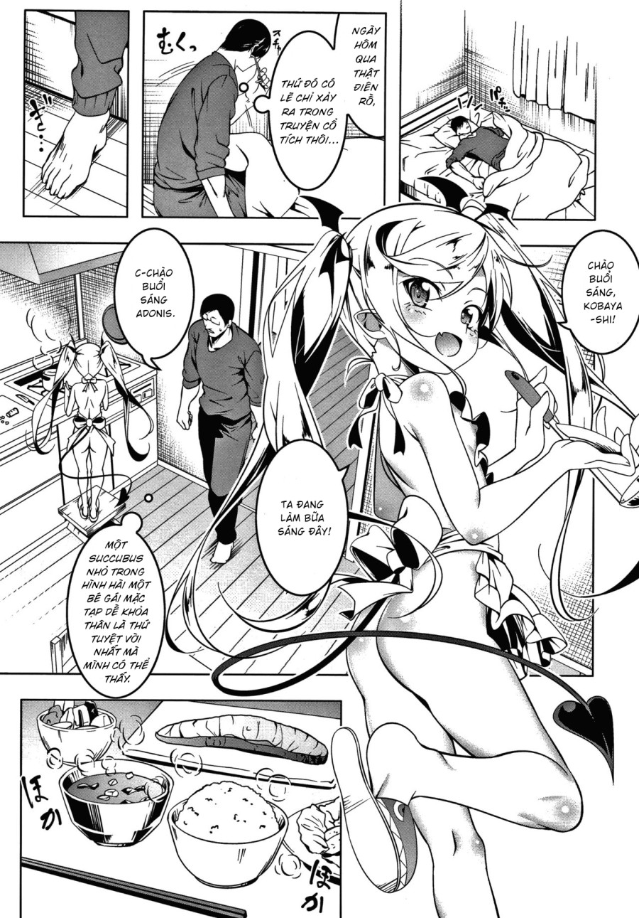 nhà có 5 nàng succubus 
