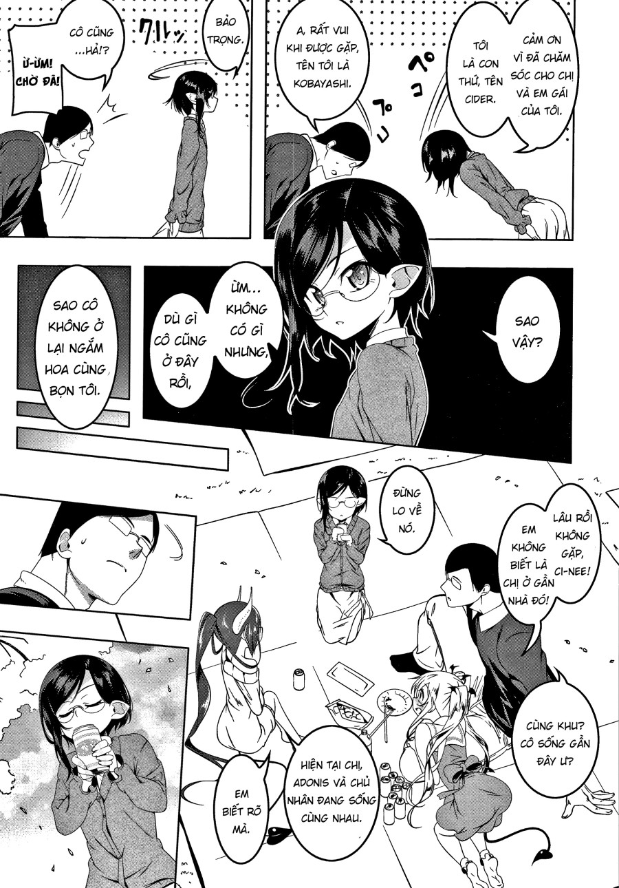 nhà có 5 nàng succubus 
