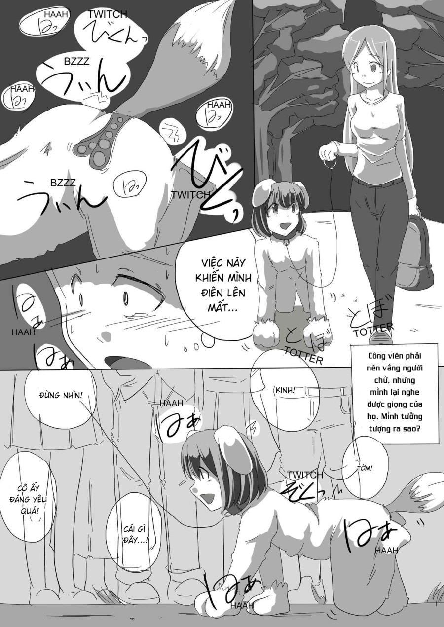 Meta-koi 