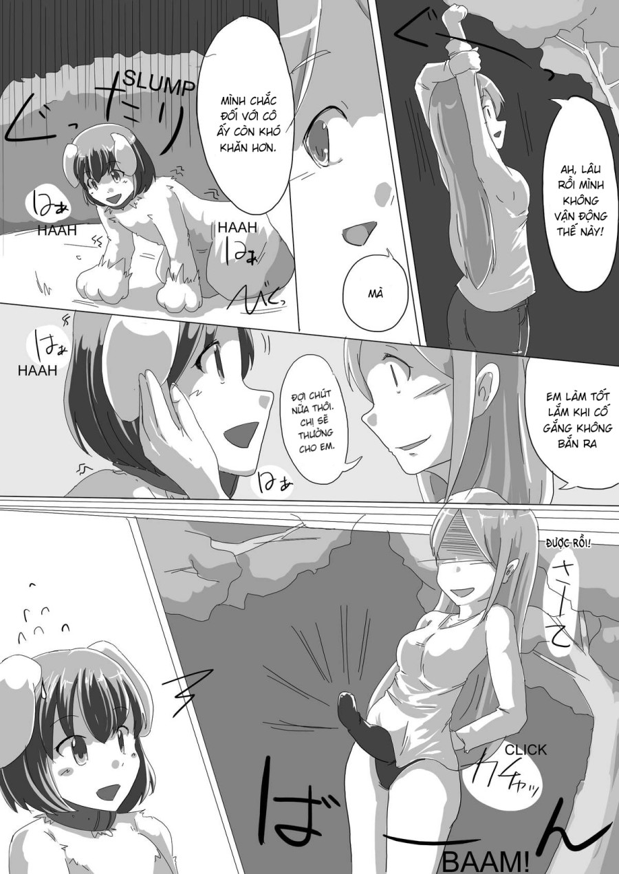 Meta-koi 