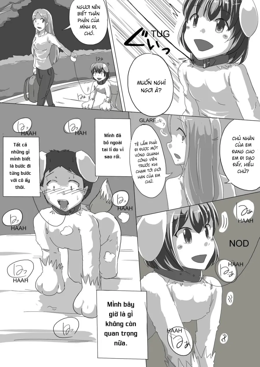 Meta-koi 