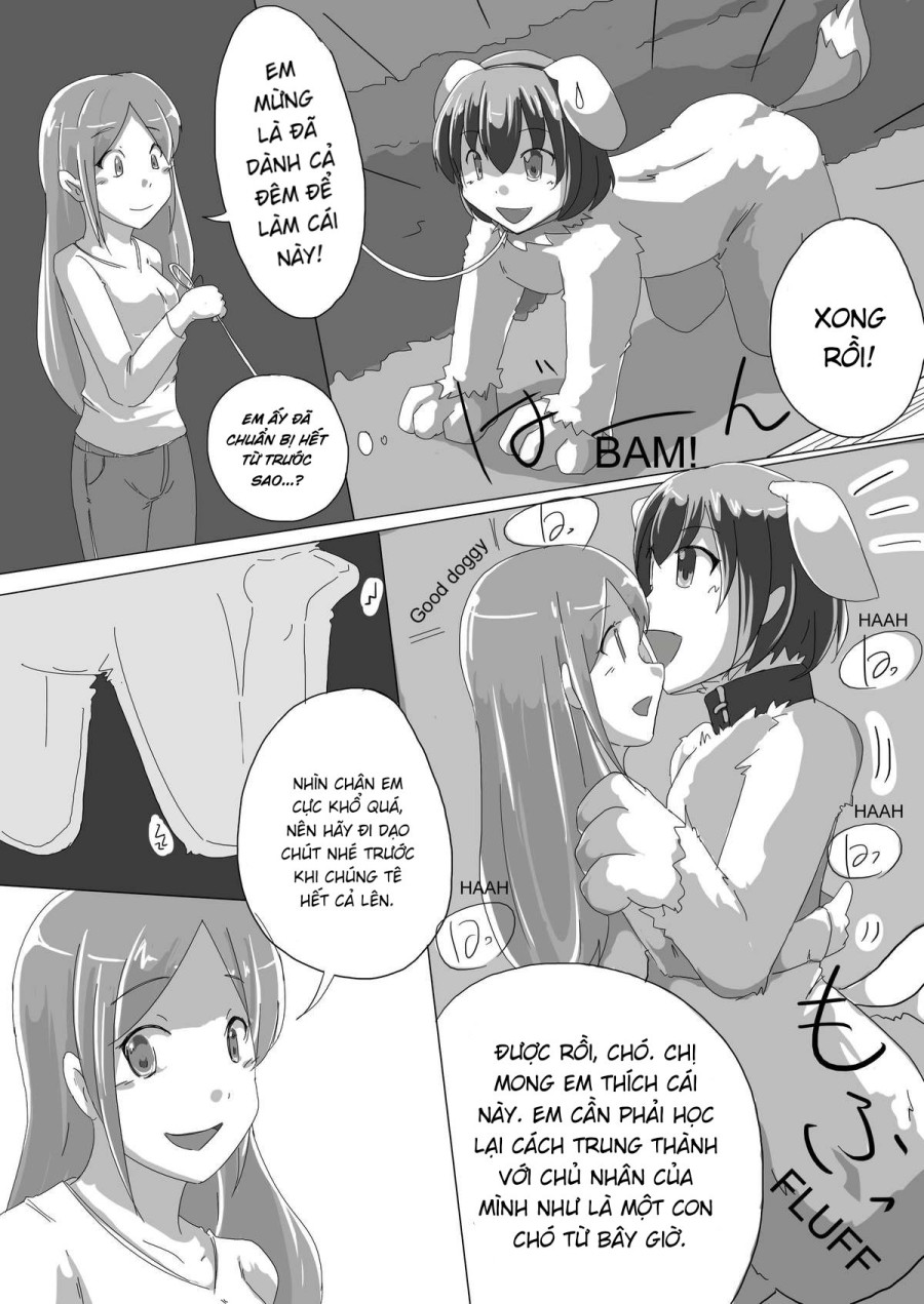Meta-koi 