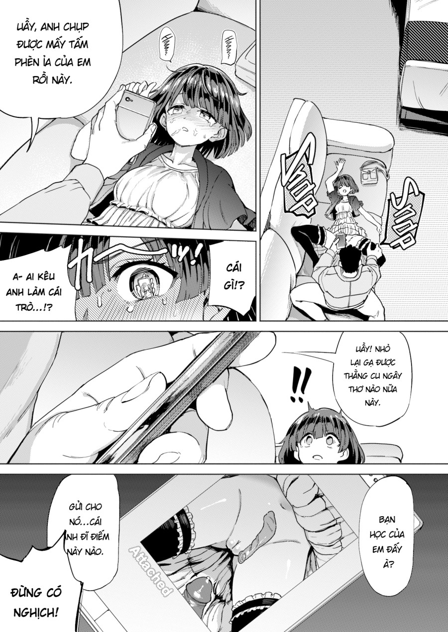 Thú Cưng 