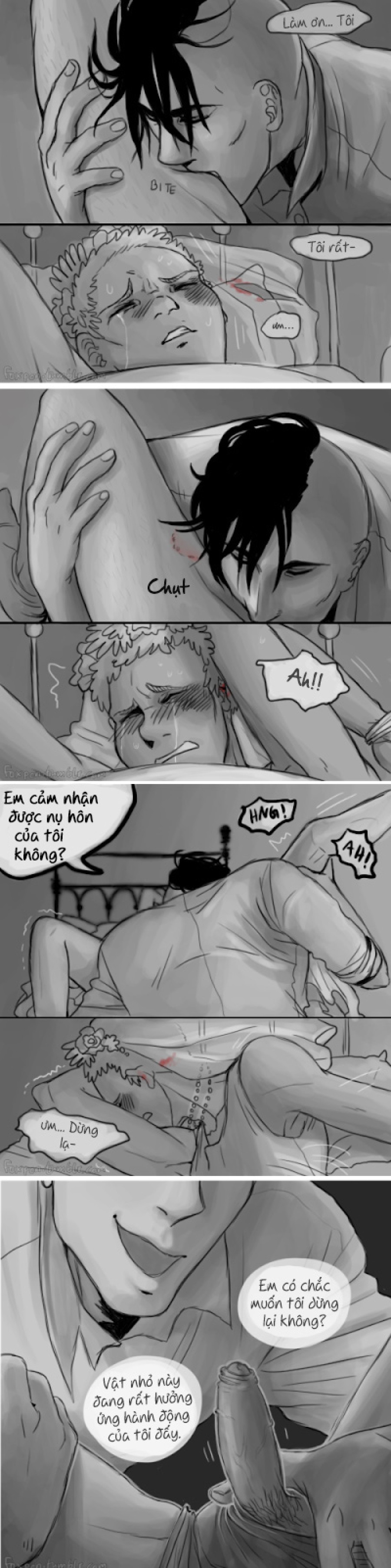 Cô dâu và chú rể 