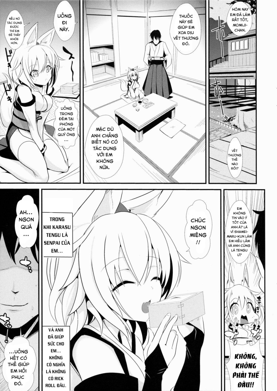 Touhou Deisuikan 3 Inubashiri Momiji(Touhou Project) 