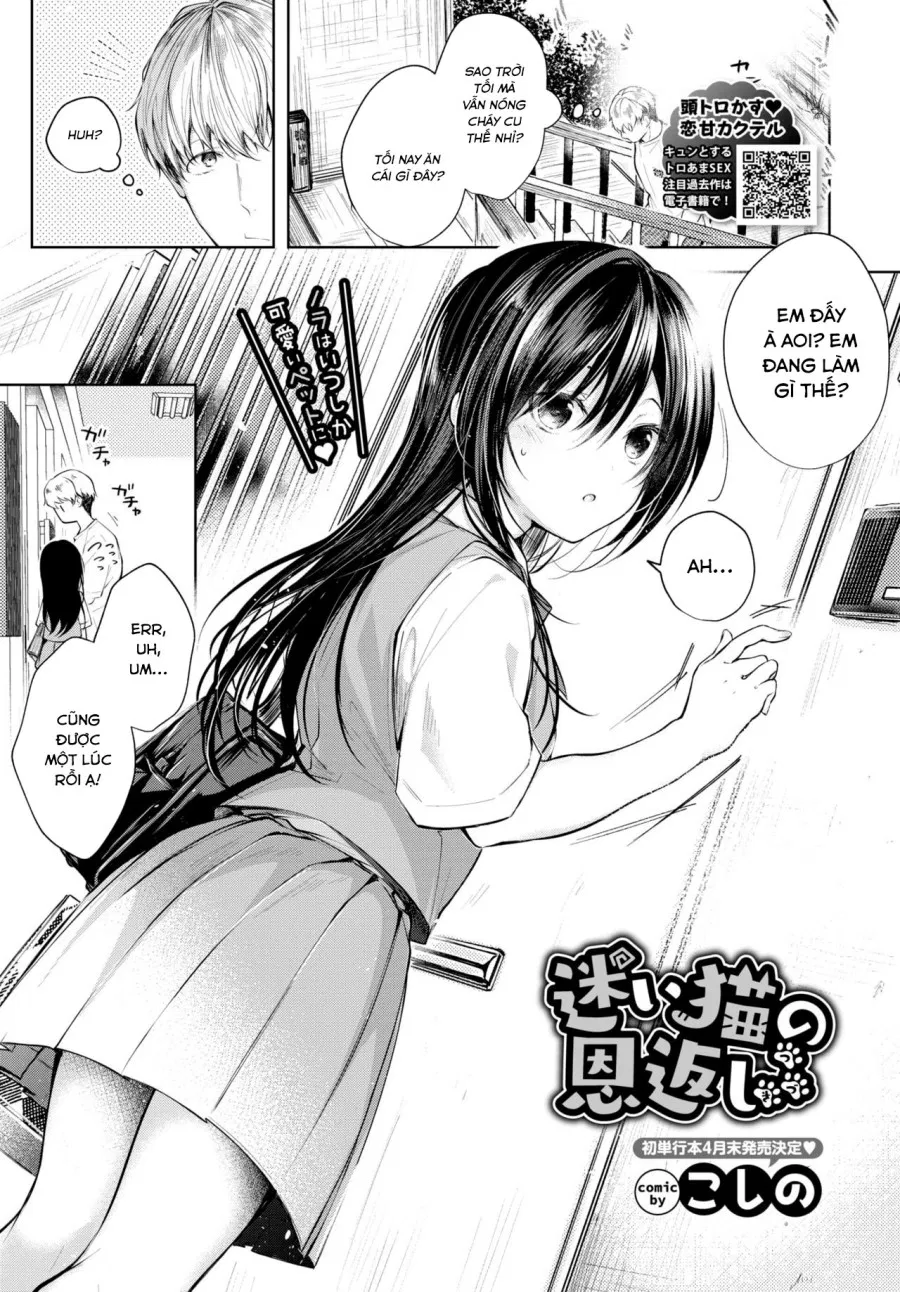 Mayoineko no Ongaeshi Tsuzuki 