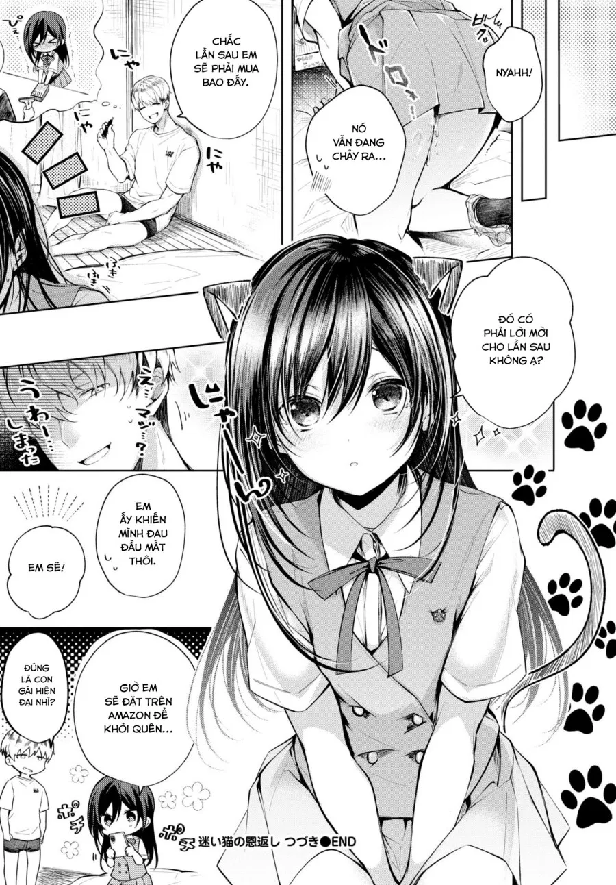 Mayoineko no Ongaeshi Tsuzuki 