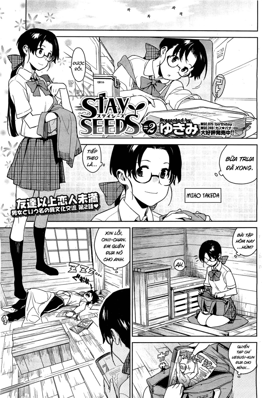 Stay Seeds 