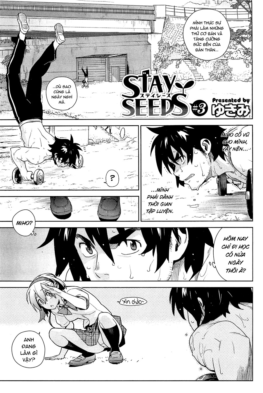 Stay Seeds 