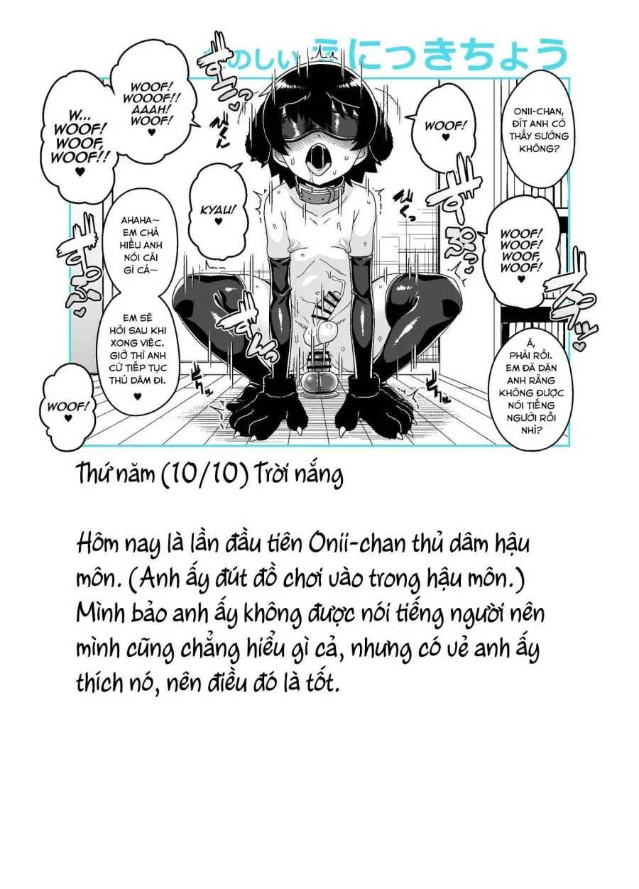 Nhật kí huấn luyện Onii-chan 