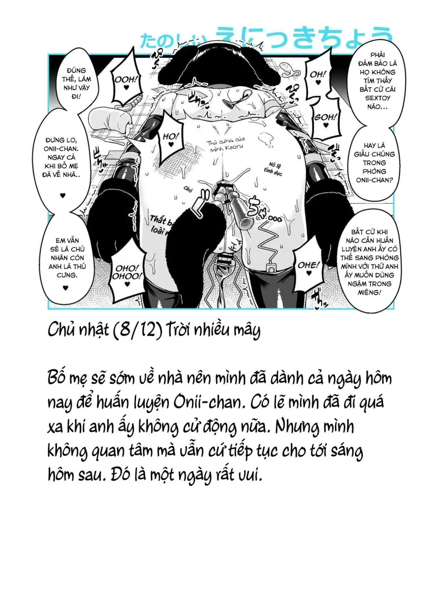 Nhật kí huấn luyện Onii-chan 