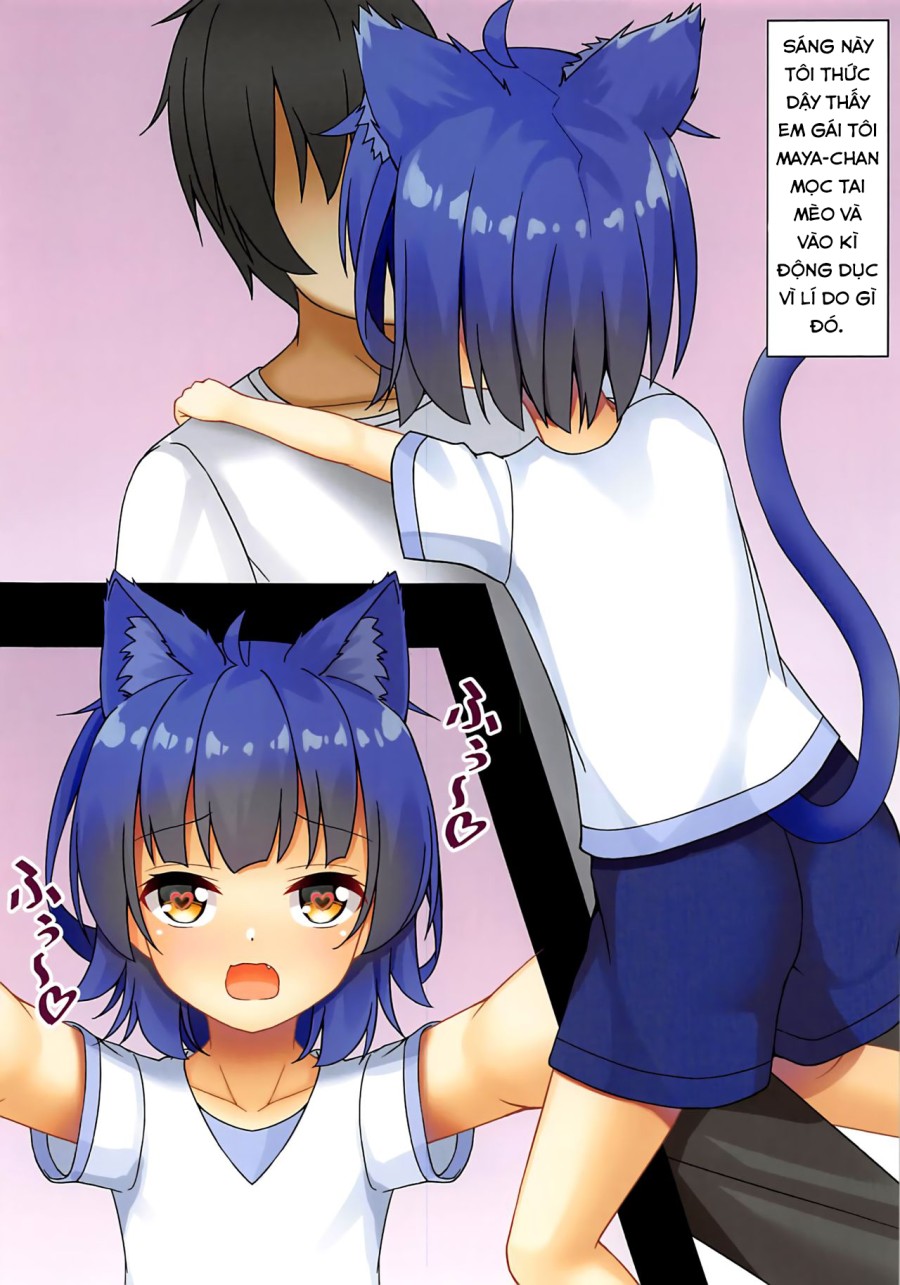 Maya Iro ni Somerareru 