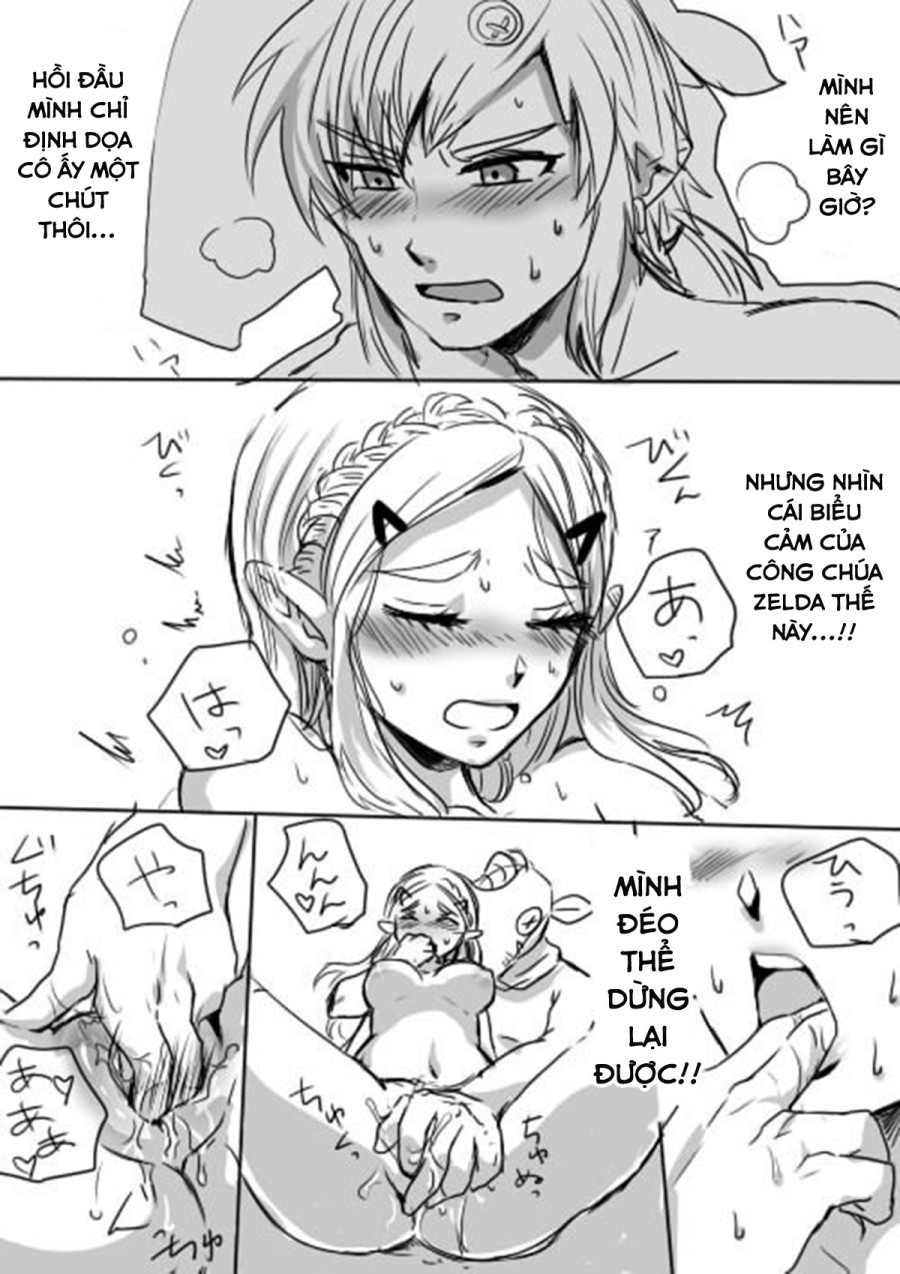 Tình Thú Của Link Và Zelda~ 