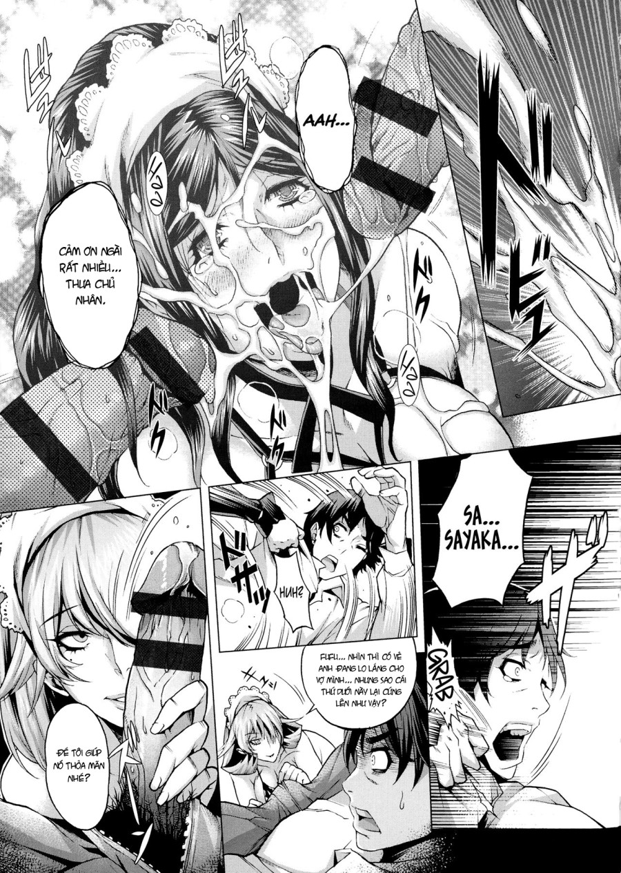 Shiawase no Daishou 