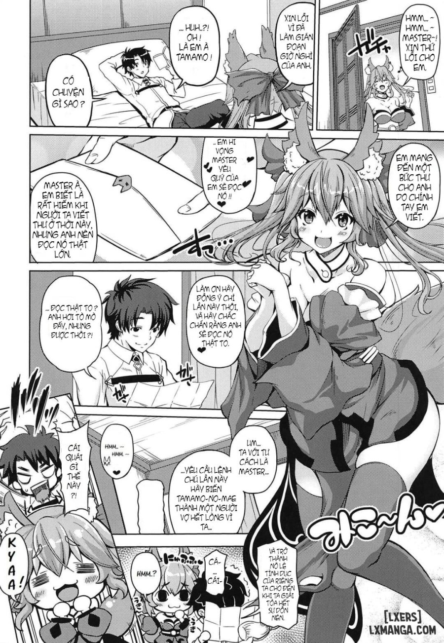 Youko Kyonyuu 