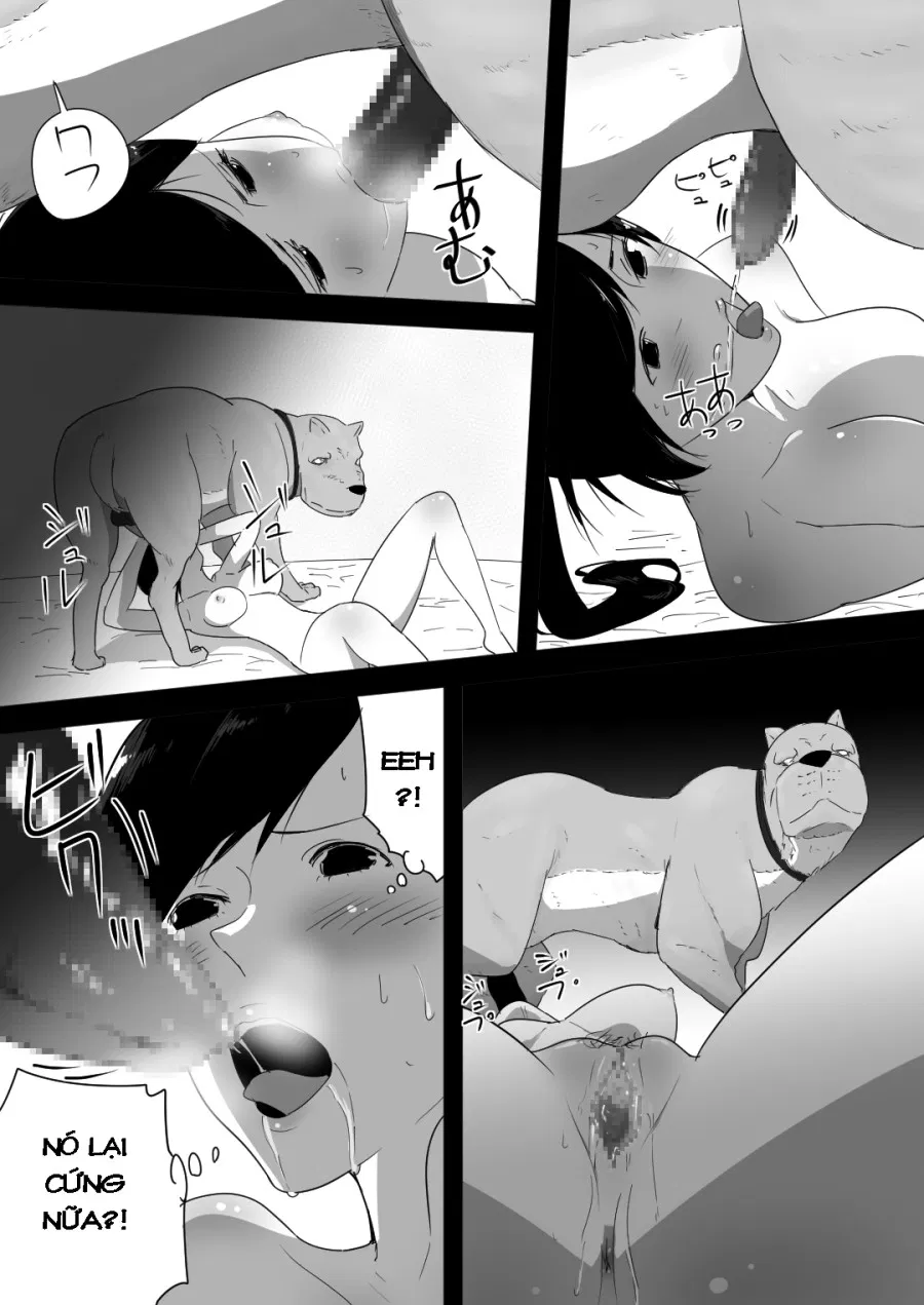 Wagaya ni Inu ga Yattekita 