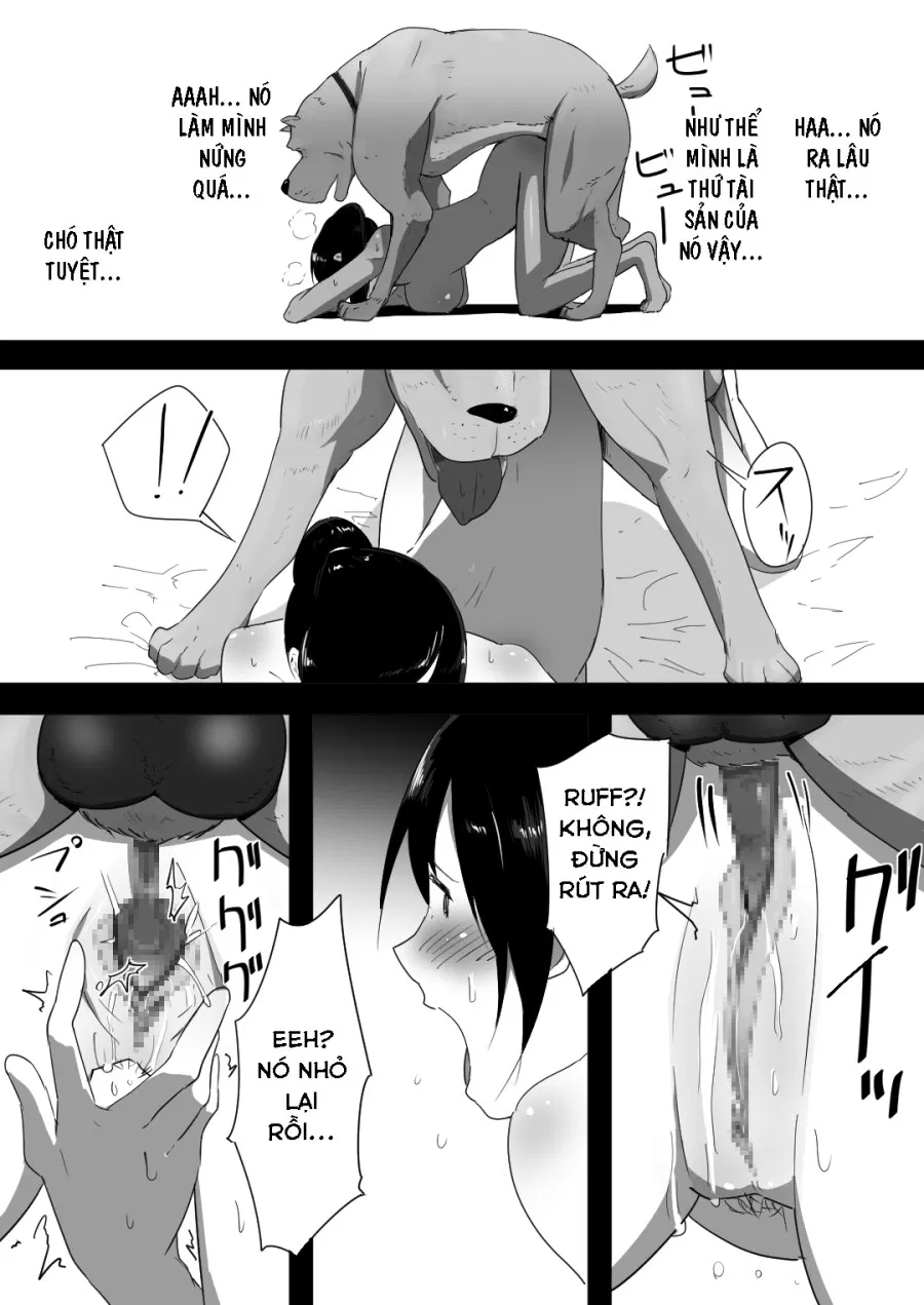 Wagaya ni Inu ga Yattekita 
